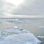 Invasion de l'Arctique : le plancton de l'Atlantique expose un océan sans glace dans le passé de la Terre