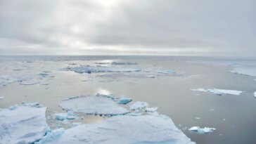 Invasion de l'Arctique : le plancton de l'Atlantique expose un océan sans glace dans le passé de la Terre