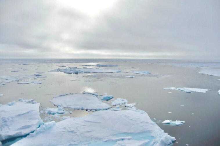 Invasion de l'Arctique : le plancton de l'Atlantique expose un océan sans glace dans le passé de la Terre