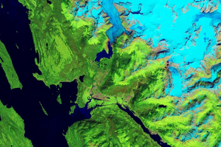Le géant qui rétrécit : un regard sur 40 ans du glacier Mendenhall en Alaska Mendenhall Glacier 1984 Annotated