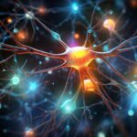 Le principe de l'énergie libre prédit l'apprentissage auto-organisé dans de vrais neurones Neurons Rendering Art Concept