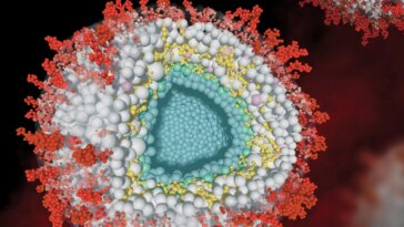 Le virus qui ne part jamais vraiment - Les scientifiques démasquent les tactiques cachées de l'herpès