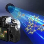 Les mystères catalytiques dévoilés : la toute première observation d'un intermédiaire catalytique "difficile à prouver" Capturing the Key Intermediate of Amination Catalysis