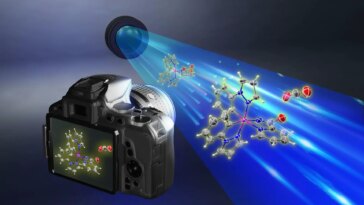Capturing the Key Intermediate of Amination Catalysis