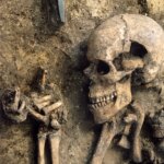 Les secrets de l'âge de pierre dévoilés : une plongée ADN dans le passé génétique et culturel de l'Europe 6,000-Year-Old Pottery From Lublin-Volhynian Agrarian Culture