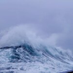 Wave With Sea Spray