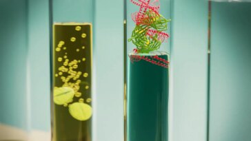 Tablets of Solid State Biologics Dissolving