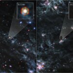 Dusty Supernovae (Webb MIRI)
