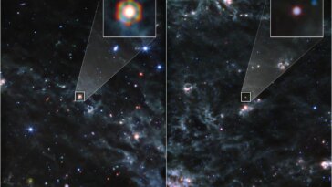 Dusty Supernovae (Webb MIRI)
