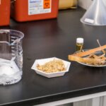 Solution anti-pollution : un nouvel appareil peut capturer 99,9 % des microplastiques présents dans l'eau à l'aide de poussière de bois