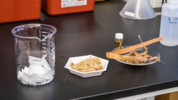 Solution anti-pollution : un nouvel appareil peut capturer 99,9 % des microplastiques présents dans l'eau à l'aide de poussière de bois