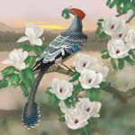 Un fossile vieux de 120 millions d'années révèle le passé mangeur de feuilles d'un oiseau Reconstruction of the Cretaceous Bird Jeholornis Eating Leaves