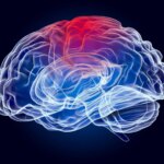 « Une fissure dans l’armure » – Des scientifiques découvrent un médicament candidat potentiel contre une tumeur cérébrale incurable Brain Disease Parietal Lobe Illustration