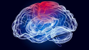 Brain Disease Parietal Lobe Illustration