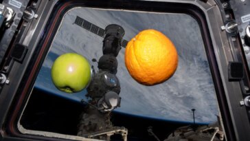 Zero-G Labs : recherche biomédicale et physique sur l'ISS alors que les missions de fret et d'équipage sont proches du lancement