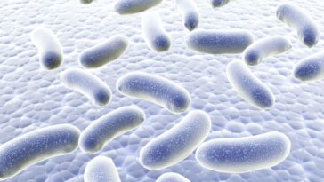Silver Bacteria White