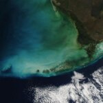 NASA MODIS Florida Keys Algal Blooms