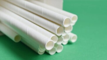 Paper Straws