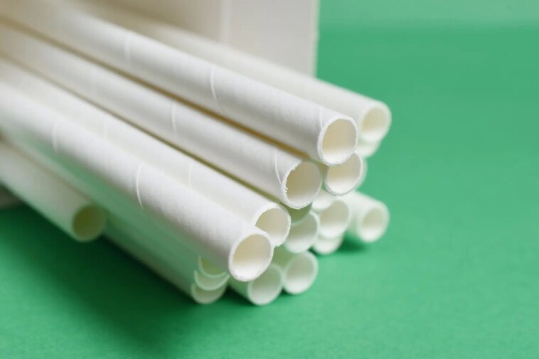 Paper Straws