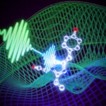 Molecules Dance Probing Process