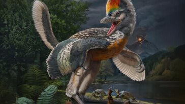 Combler le fossé évolutif : des paléontologues découvrent de nouvelles espèces bizarres de dinosaures ressemblant à des oiseaux