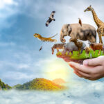 Cryo Conservation – Une solution intéressante pour sauver les espèces de l’extinction Wildlife Conservation