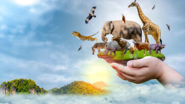 Wildlife Conservation