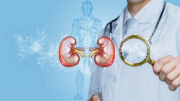 Scientist Researching Kidneys Magnifying Glass