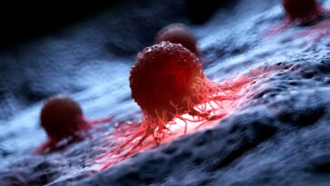 Human Cancer Cell Illustration