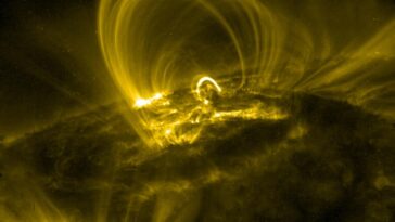 TRACE Solar Coronal Loop