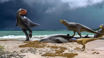 Des scientifiques découvrent de nouveaux « cousins ​​primitifs du T. Rex » – Cette découverte met en lumière la fin de l’ère des dinosaures en Afrique