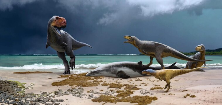Des scientifiques découvrent de nouveaux « cousins ​​primitifs du T. Rex » – Cette découverte met en lumière la fin de l’ère des dinosaures en Afrique