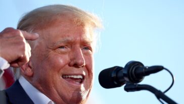 Donald Trump est extrêmement susceptible à l'égard des électeurs qui disent qu'il n'est pas « mentalement prêt pour le poste » de président