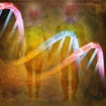 Human DNA Evolution History Concept