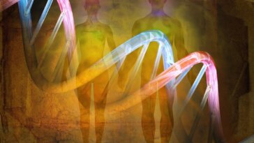 Human DNA Evolution History Concept
