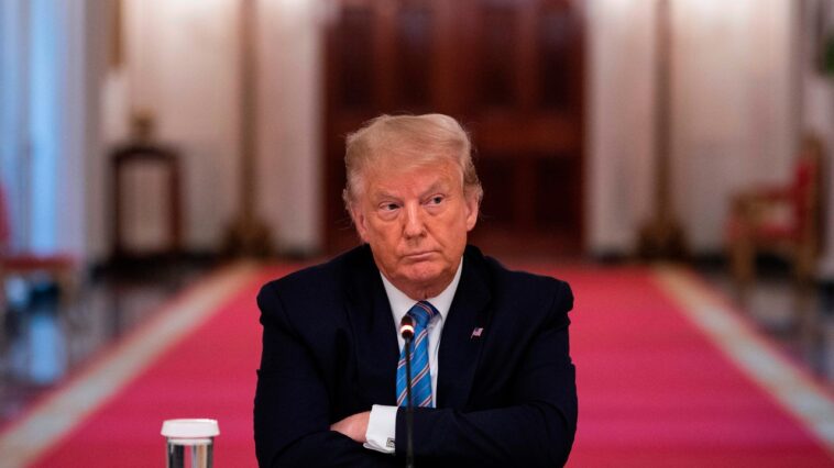 « Étonnamment stupide » : la comparaison faite par les avocats de Trump entre le sort de l'ex-président et celui des adolescents noirs injustement reconnus coupables de viol ne se passe pas bien
