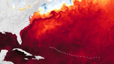 Fluctuations d’intensité extrême : l’ouragan Lee traverse l’Atlantique chaud