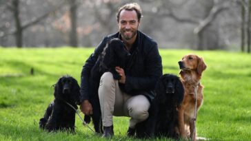James Middleton et sa femme montent sur un bateau avec leurs nombreux chiens avant de bébé