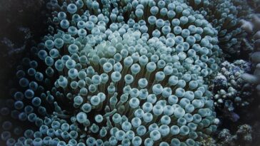La prochaine calamité du changement climatique ? : Nous ruinons le microbiome, selon Craig Venter, pionnier du génome humain