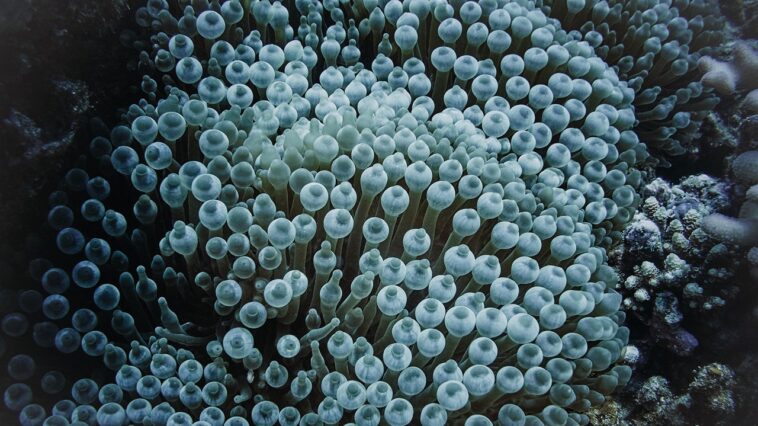 La prochaine calamité du changement climatique ? : Nous ruinons le microbiome, selon Craig Venter, pionnier du génome humain