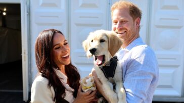 Le prince Harry est « aux anges » que Meghan Markle l'ait rejoint aux Invictus Games