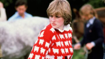 Le pull emblématique en mouton noir de la princesse Diana se vend aux enchères pour plus de 1,1 million de dollars