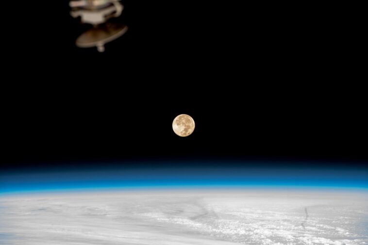 L'équipage de l'Expédition 69 se penche sur la robotique, la microbiologie et la maintenance des laboratoires spatiaux