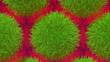 Simulation of Microgels