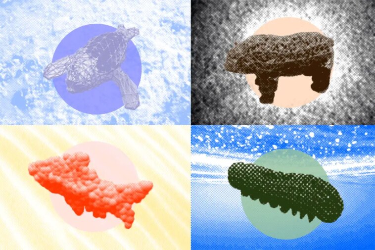 MIT SoftZoo