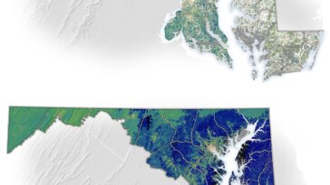 NASA Tech identifie les meilleurs endroits pour planter des arbres