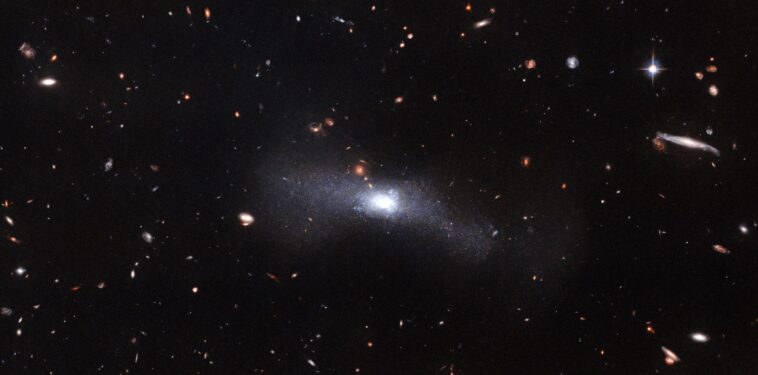 Qu'est-ce qu'il y a dans un nom?  Le télescope spatial Hubble capture la galaxie SDSS J103512.07+461412.2