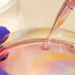 Boosting Immune System Memory Against Influenza