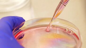 Boosting Immune System Memory Against Influenza