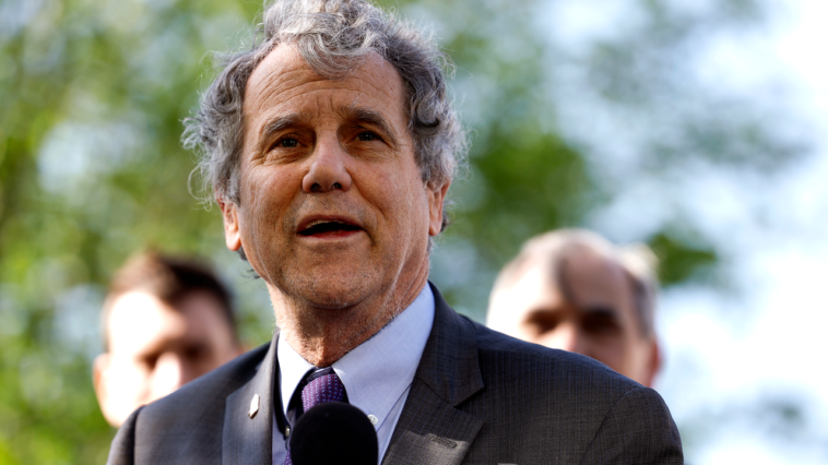 Sherrod Brown de l'Ohio ne s'épuise pas dans sa candidature à la réélection : « Je me sens bien » Sherrod Brown de l'Ohio ne s'épuise pas dans sa candidature à la réélection : « Je me sens bien »